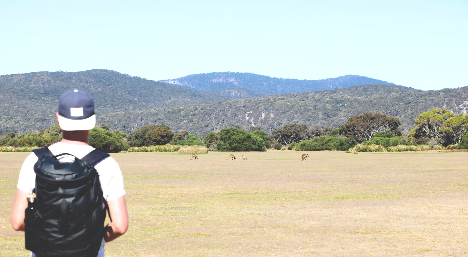 Tasmanien Sehenswürdigkeiten: Narawntapu Nationalpark