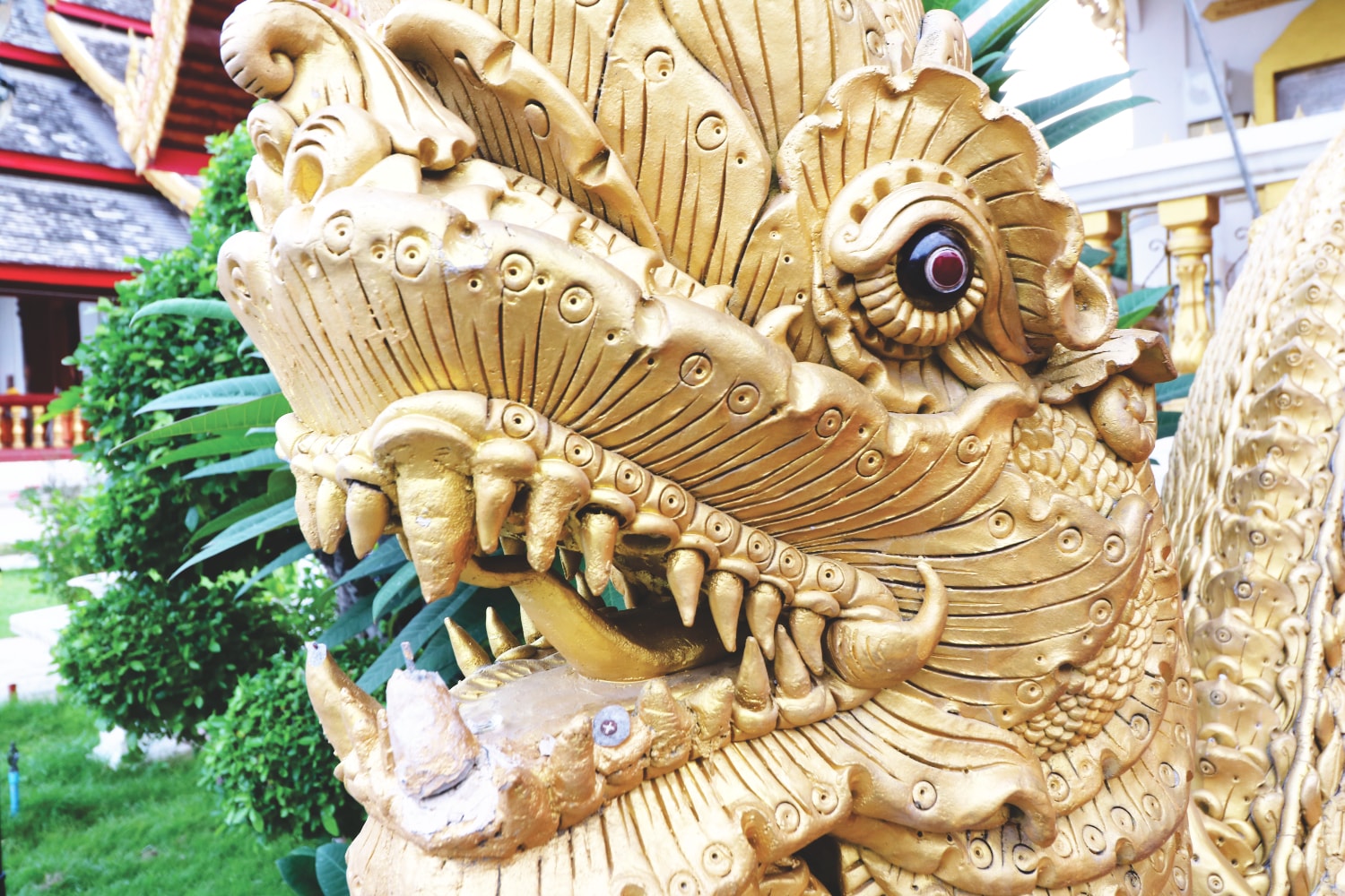 Drachenkopf in Chiang Mai Drachenkopf in Chiang Mai