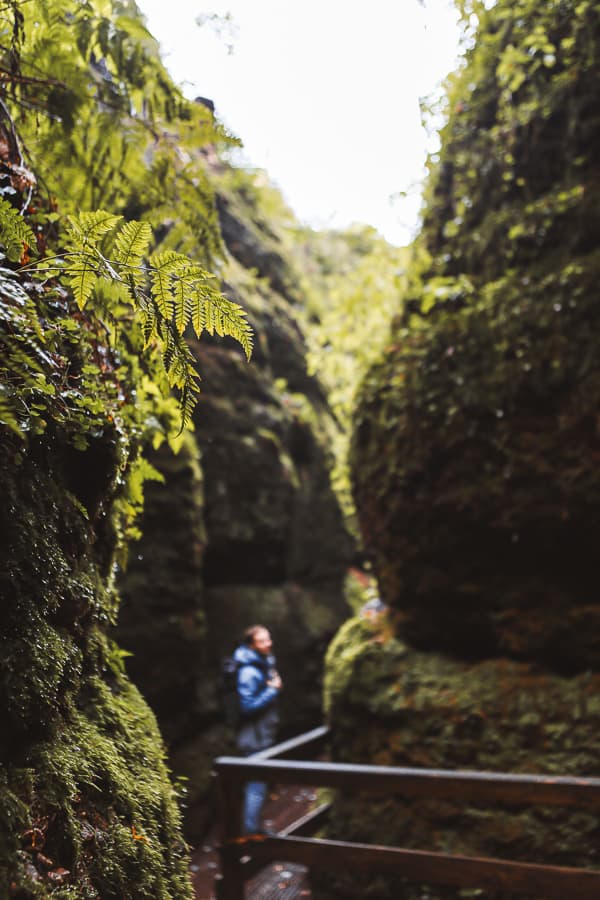 Ausflugsziel in Thüringen: Drachenschlucht