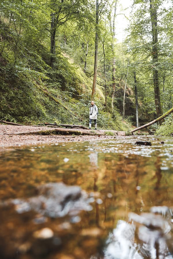 Thüringen - Wandern im Thüringer Wald