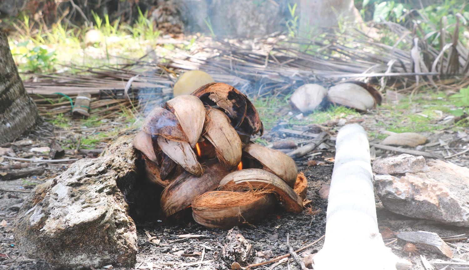 Togian Inseln Aktivitäten: Camping Togian Insel Guide - Reisetipps und Insidertipps - Aktivitäten - Camping