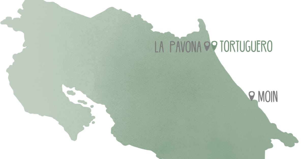 Anreise nach Tortuguero