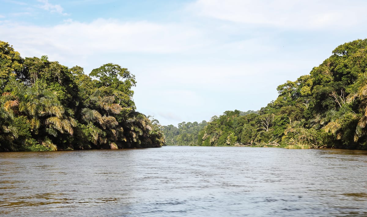 Tortuguero Nationalpark - Reisetipps/Guide - Landschaft