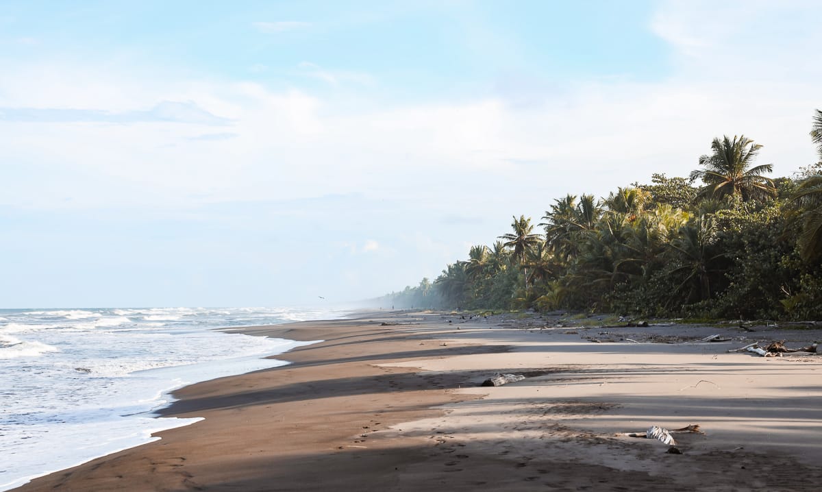 Tortuguero Nationalpark - Reisetipps/Guide - Strand Tortuguero Nationalpark - Reisetipps/Guide - Strand