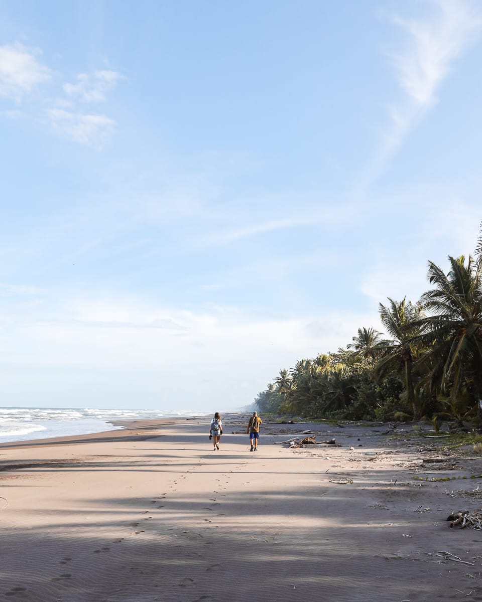 Tortuguero Nationalpark - Reisetipps/Guide - Wanderung Tortuguero Nationalpark - Reisetipps/Guide - Wanderung