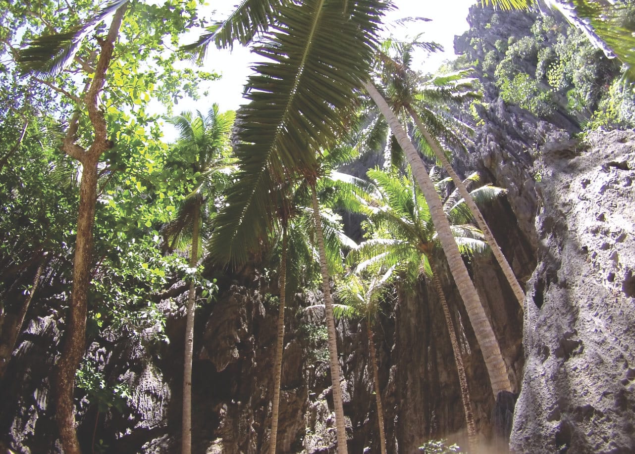 Traumstrand - El Nido Traumstrand - El Nido