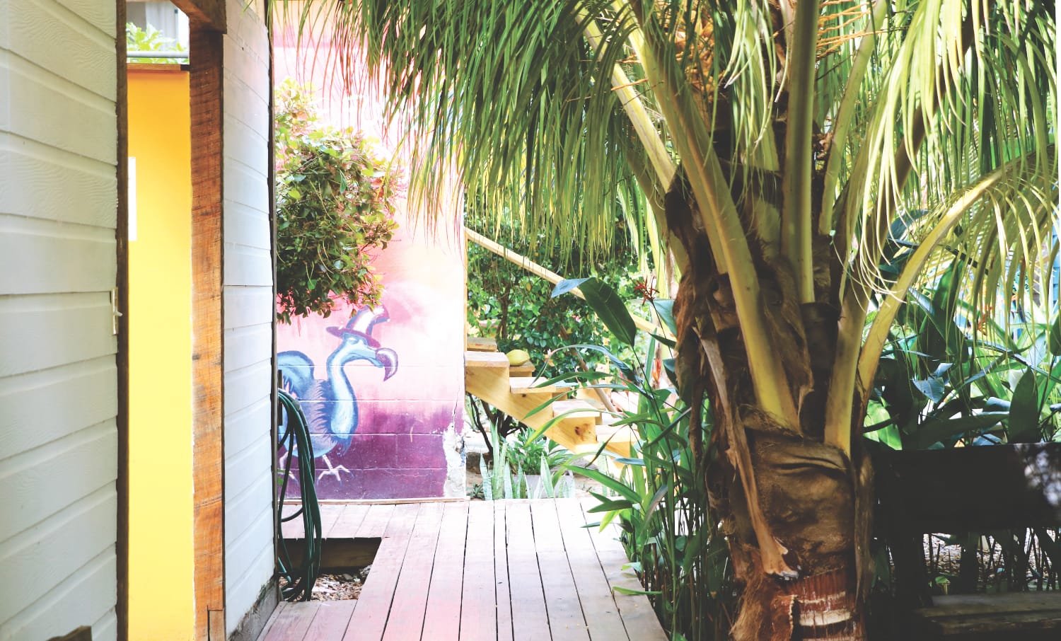 Unterkunft Belize - Hopkins - Funky Dodo