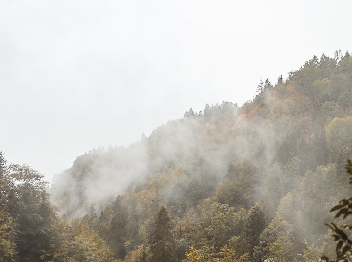 Urlaubsziele in Deutschland: Bayern Urlaubsziele in Deutschland: Bayern