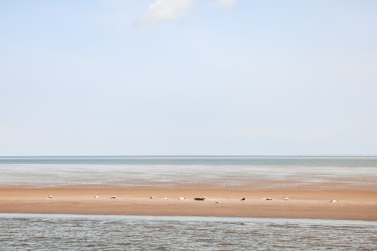 Urlaubsziele in Deutschland: Niedersachsen Urlaubsziele in Deutschland: Niedersachsen