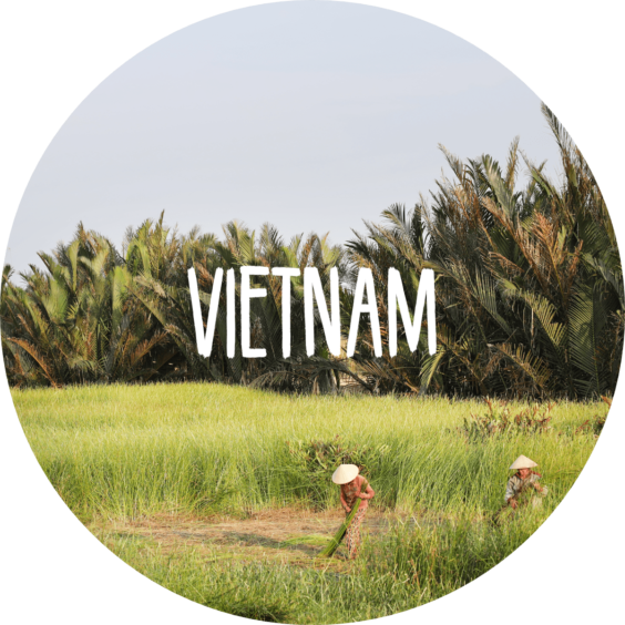 Vietnam Reisetipps