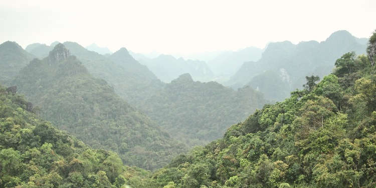 Aussicht auf den Nationalpark auf Cat Ba