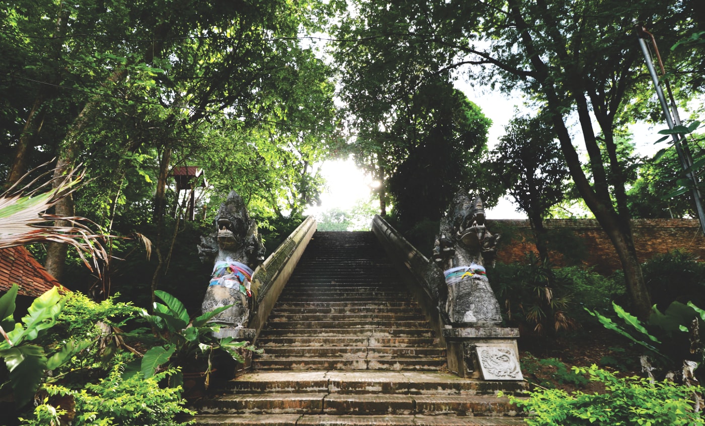 Chiang Mai Highlights: Wat Umong Chiang Mai Highlights: Wat Umong