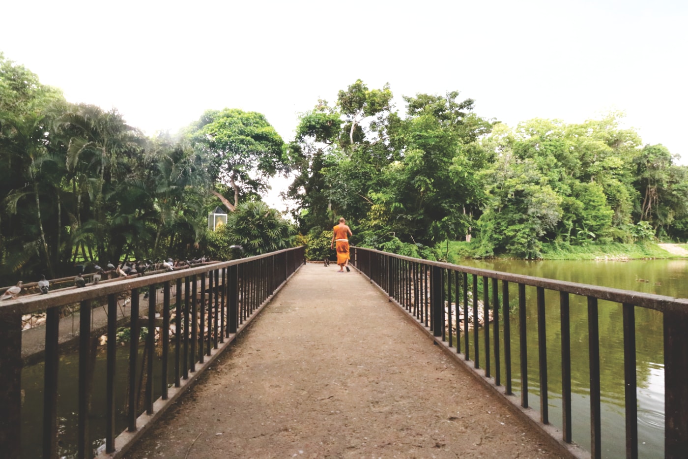 Mönch im Tempel Wat Umong Mönch im Tempel Wat Umong