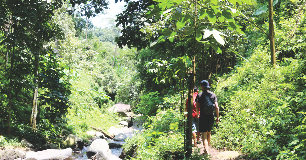 Der Weg zum Wasserfall