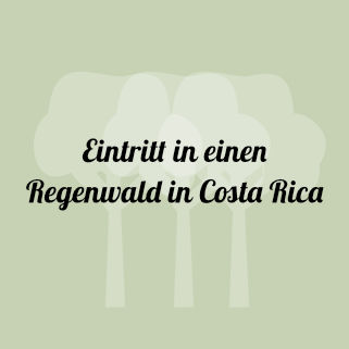 Sparen für Weltreise - Regenwald