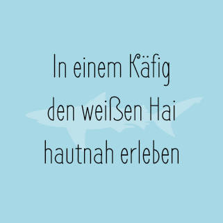 Sparen für Weltreise - Weisser Hai