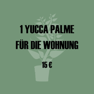 Sparen für Weltreise - Yucca Palme