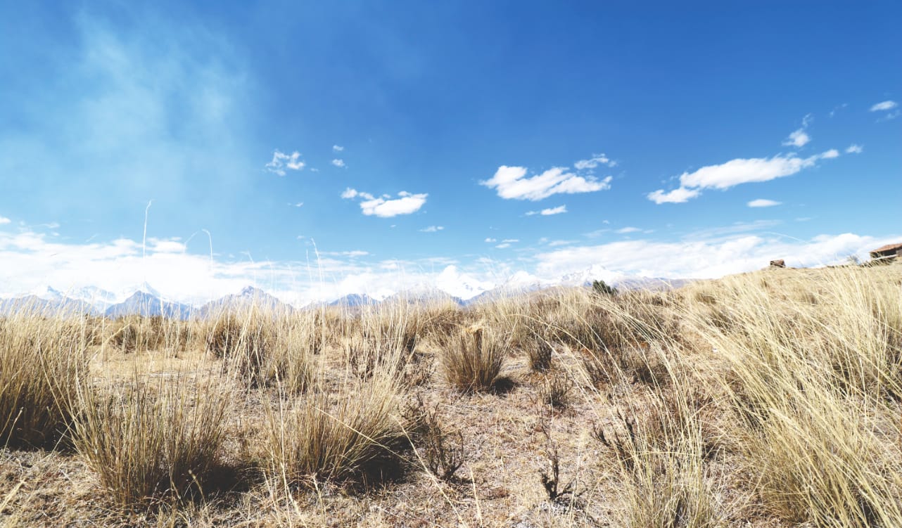 Huaraz: Wilcacocha Trek Lagune Huaraz: Wilcacocha Trek Lagune