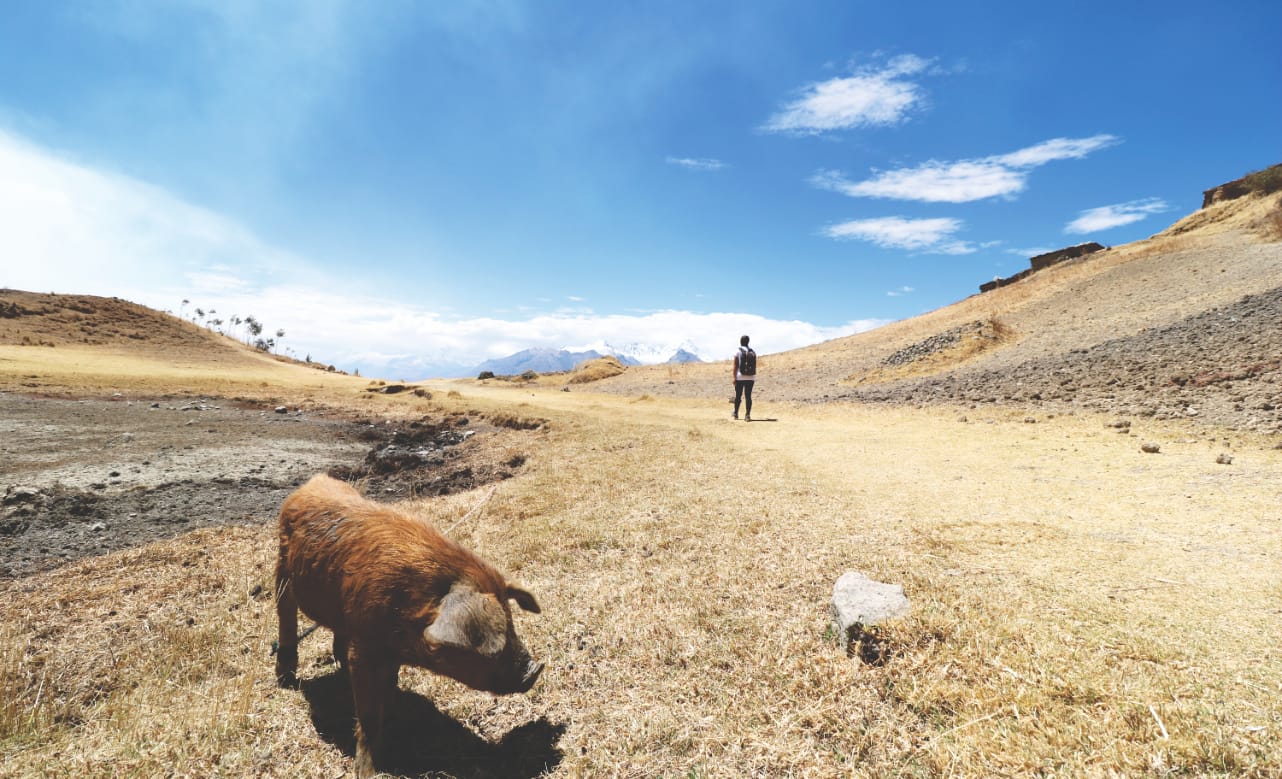 Huaraz: Wilcacocha Lagune Huaraz: Wilcacocha Lagune